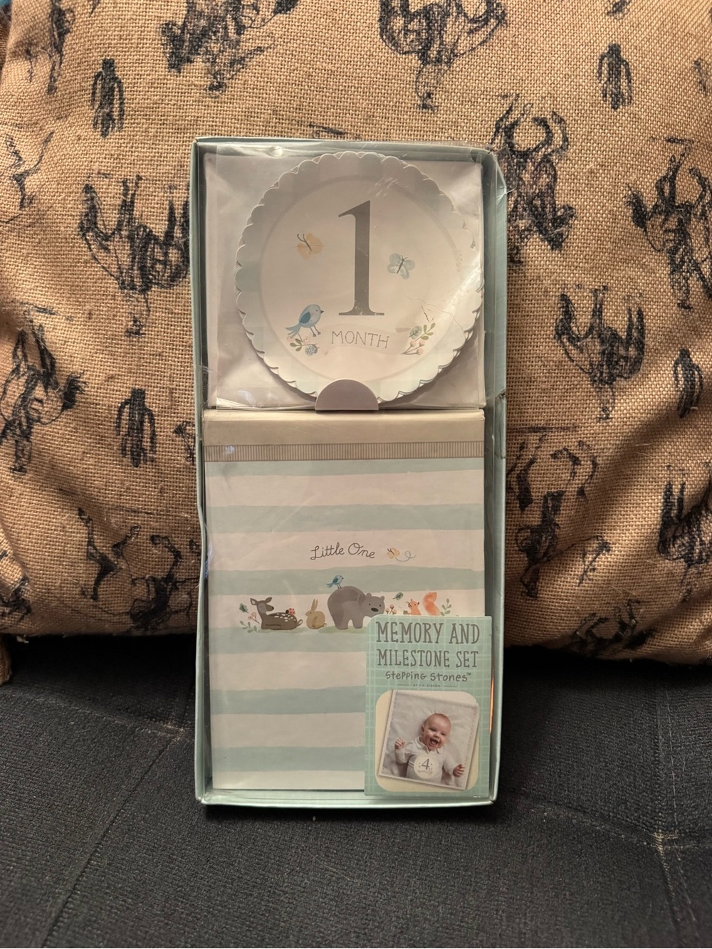 Stepping Stones Little One Memory & Milestone Set Album, 12 Month Stickers